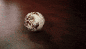 Txstsoccer GIF