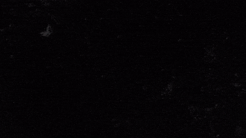 djripm GIF