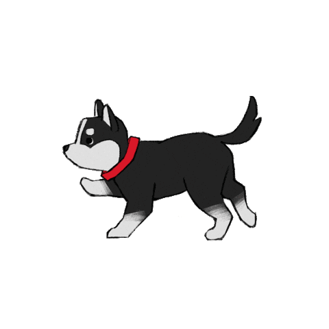 Northeastern Huskies Nu Sticker by Northeastern University Admissions