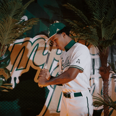 South Florida Baseball GIF by USF Athletics