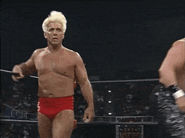 ric flair GIF