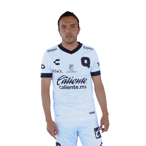 Liga Mx Gallos Sticker by Club Querétaro