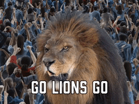 Go Lions Go