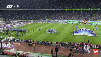 Afc Taj GIF
