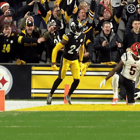 Excited Football GIF by Pittsburgh Steelers