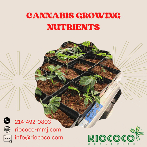 Growing With Coco Coir GIF