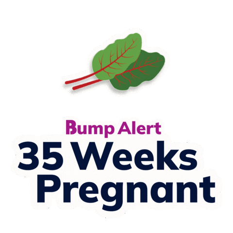 Pregnancy Expecting Sticker by The Bump