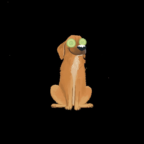 Konemascotas GIF