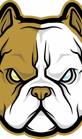 GIF by Guru Lifestyle