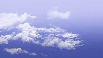 waymanaviationacademy logo clouds pilot aviation GIF