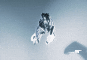 Jumping Turn Up GIF by DC THE DON