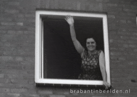 Wave Hello GIF by Brabant in Beelden