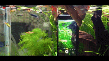 Ulefone GIF
