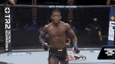 Sport This Is Mine Now GIF by UFC - Find & Share on GIPHY
