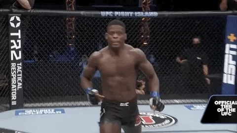 Sport This Is Mine Now GIF by UFC