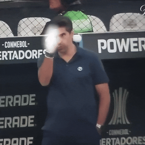 Libertadores Abel GIF
