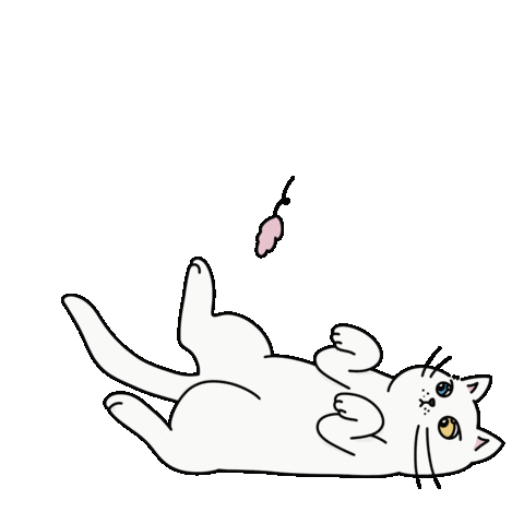 Cat Sticker