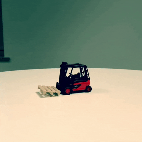 hofmannlinde GIF