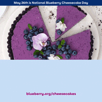 Blueberry GIF
