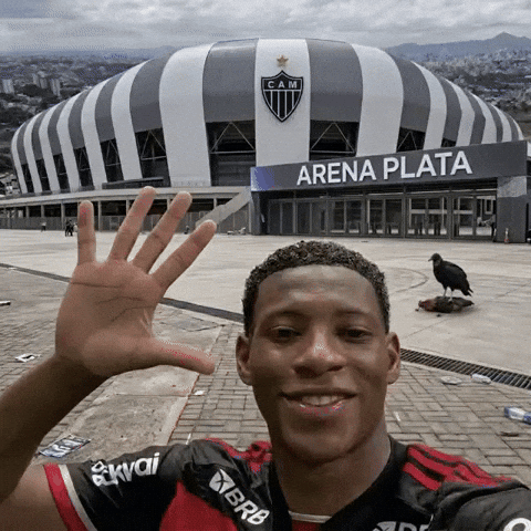 Atletico Mineiro Plata GIF