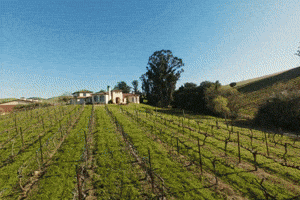 Real Estate Home GIF by Aerial Canvas