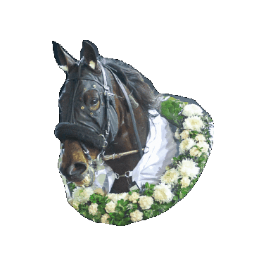 bergsakerstravet Sticker