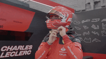 See Formula 1 GIF by Formula Santander