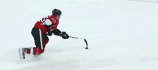 ISS IceQuality GIF