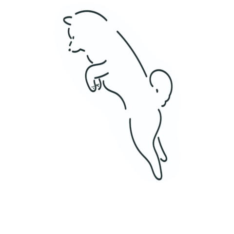 柴犬 Shibadog Sticker