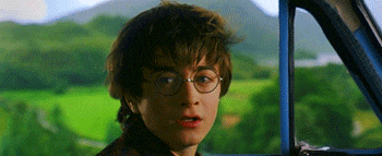 Harry Potter Car GIF - Find & Share on GIPHY