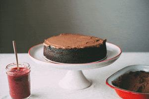 Chocolate Cake Moose GIF by Food52