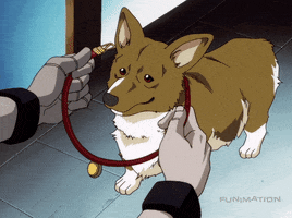 cowboy bebop dog GIF by Funimation