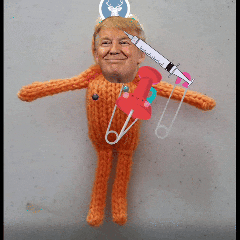 Trump Voodoo Doll Needles Pins GIF