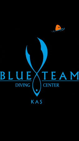 Blueteam Dalış GIF