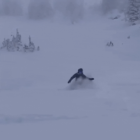 Snow Snowboarding GIF by Storyful