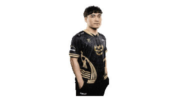 Levi Sticker by GAM Esports