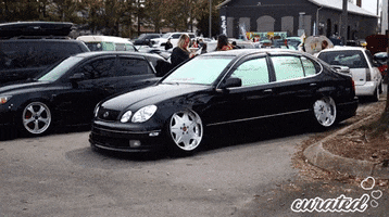 Show Stance GIF by Curated Stance!