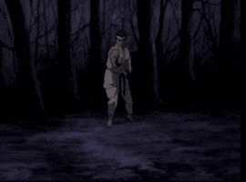 Akuma Streetfighter Appy Aperture GIF