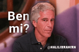 Jeffrey Epstein Trump GIF