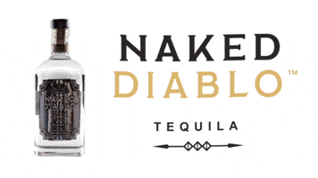 Naked Diablo GIF