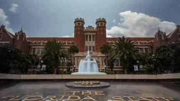 college clouds GIF by Florida State University