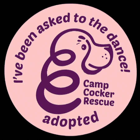 Campcocker2025 GIF by Camp Cocker Rescue