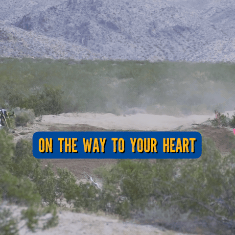 Adventure Performance GIF by ITP Tires And Wheels