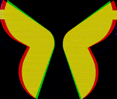 Itzunv butterfly vlinder itzu GIF