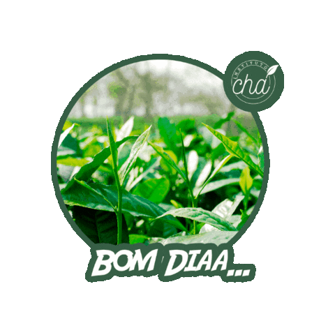 Instituto Chá Sticker