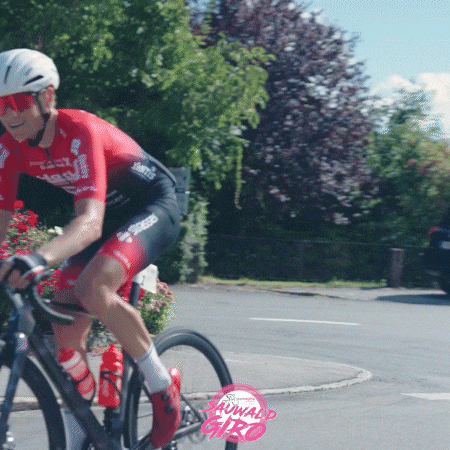 Hackl GIF by Team Alpha Radsportteam