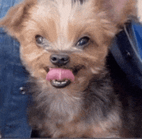 Tongue GIF