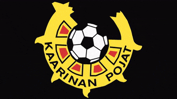 Kaarinan Pojat GIF