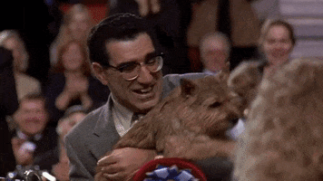 Eugene Levy Reaction GIF by TIFF