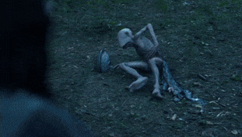 Hbo Max GIF